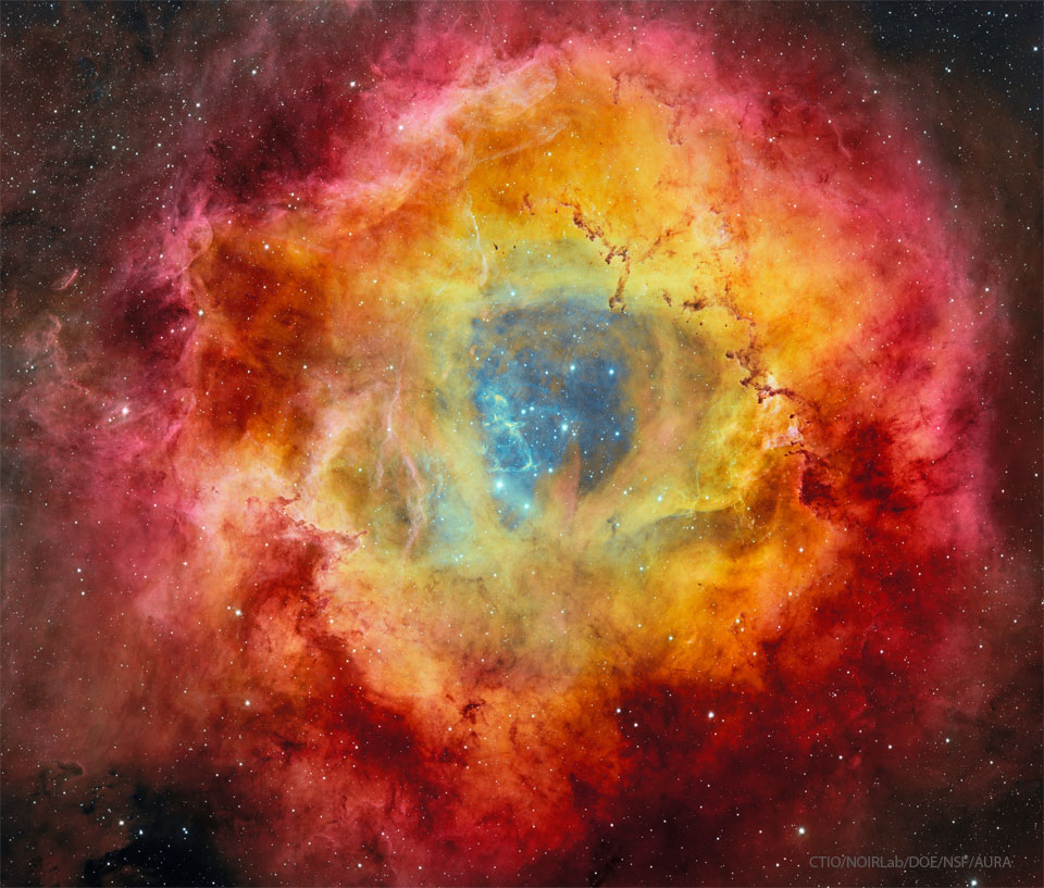 A deep image of the Rosette Nebula is shown along with a field of stars. As many color filters were used, the flowery nebula takes on many colors with blue in the center, yellow and orange around the blue, and red around the outside. Please see the explanation for more detailed information.